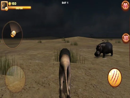 Рецензии Wild Lion Adventures