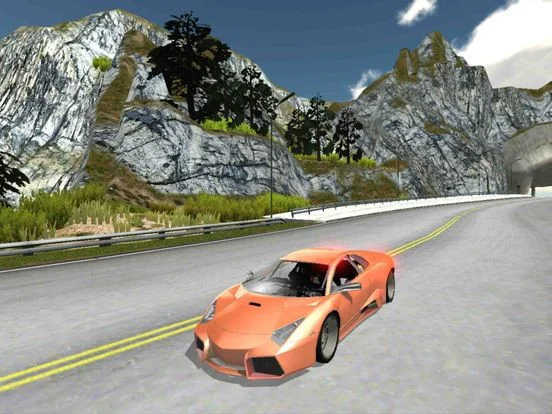 Super Car Rally
