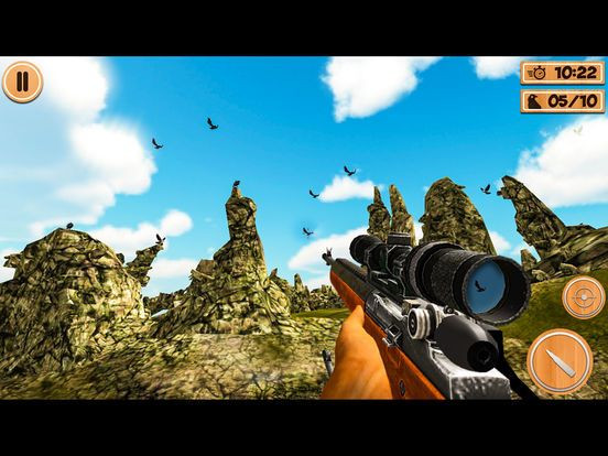 Crow hunting Adventure Crow hunting Adventure