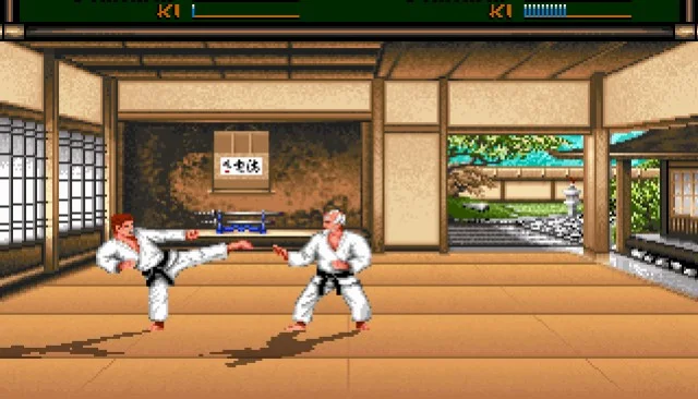 Budokan: The Martial Spirit Budokan: The Martial Spirit