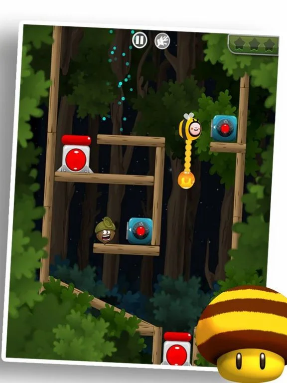Chestnut Puzzle