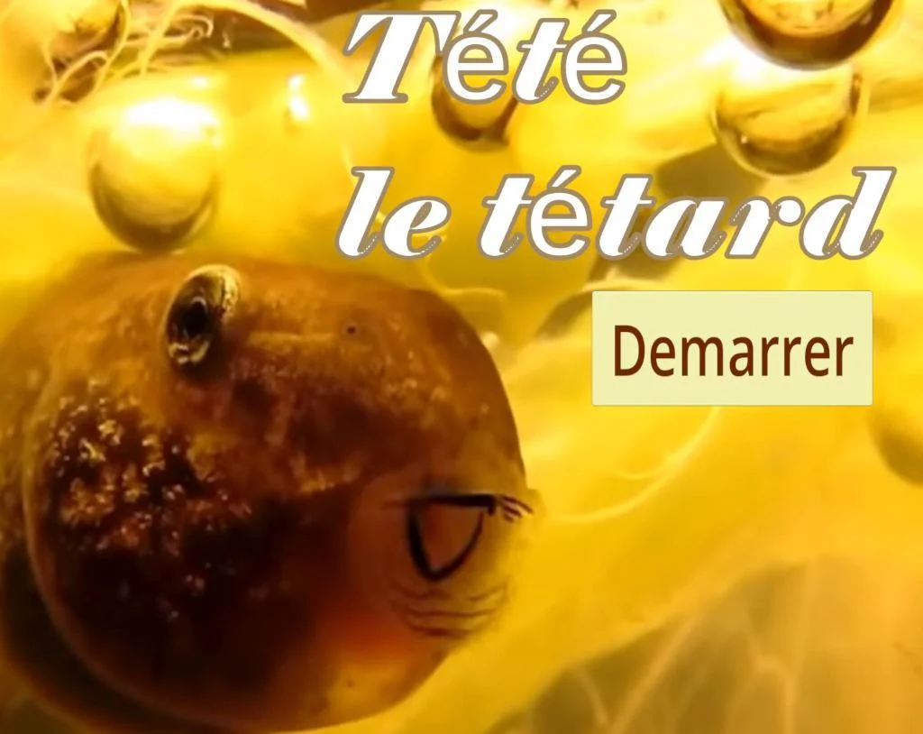 Tété le tétard (itch) Tété le tétard (itch)
