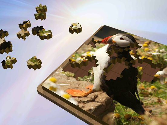 Super Jigsaws Birds Super Jigsaws Birds