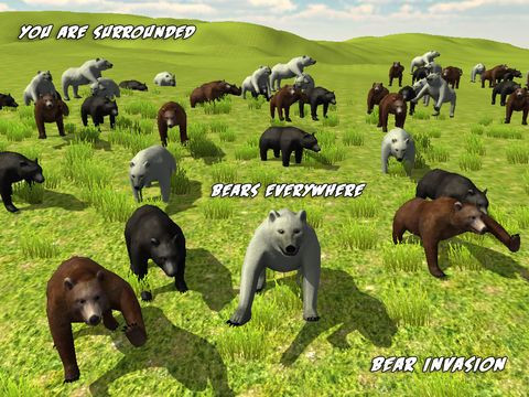 Bear Invasion