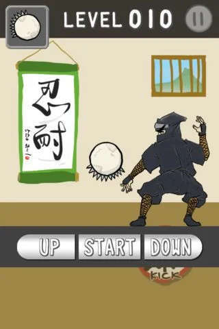 Ninja Kick Ninja Kick