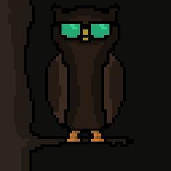 owl (itch) owl (itch)