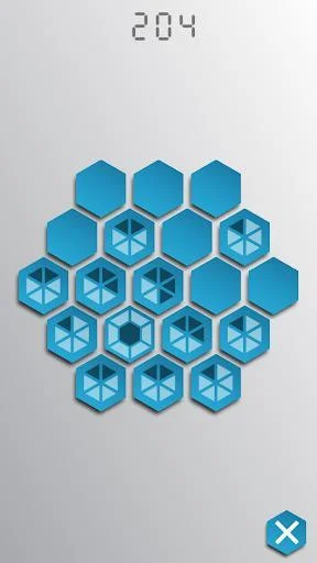Hex Puzzle Hex Puzzle