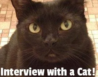 Interview with a Cat! (itch) Interview with a Cat! (itch)
