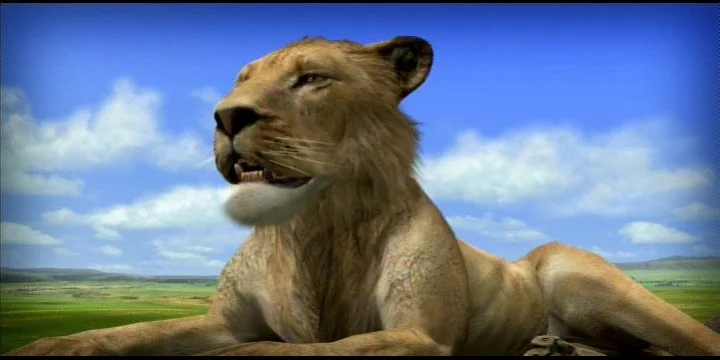Afrika Afrika