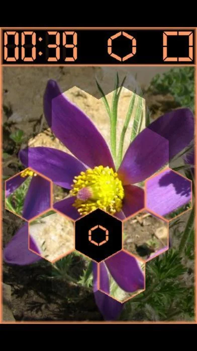 HEXslide HEXslide