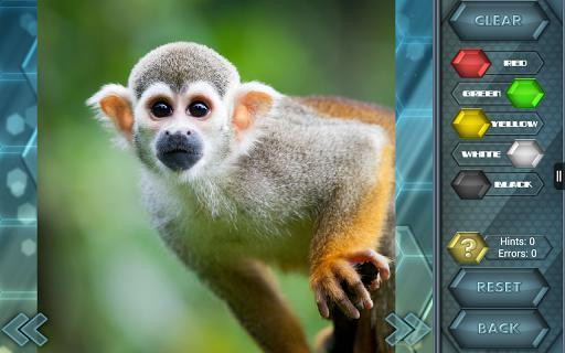 HexLogic - Zoo HexLogic - Zoo