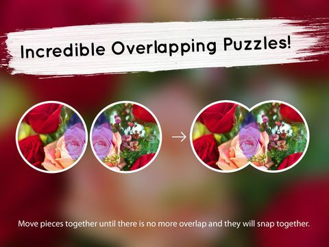 Venn Valentine's Day: Overlapping Jigsaw Puzzles Venn Valentine's Day: Overlapping Jigsaw Puzzles