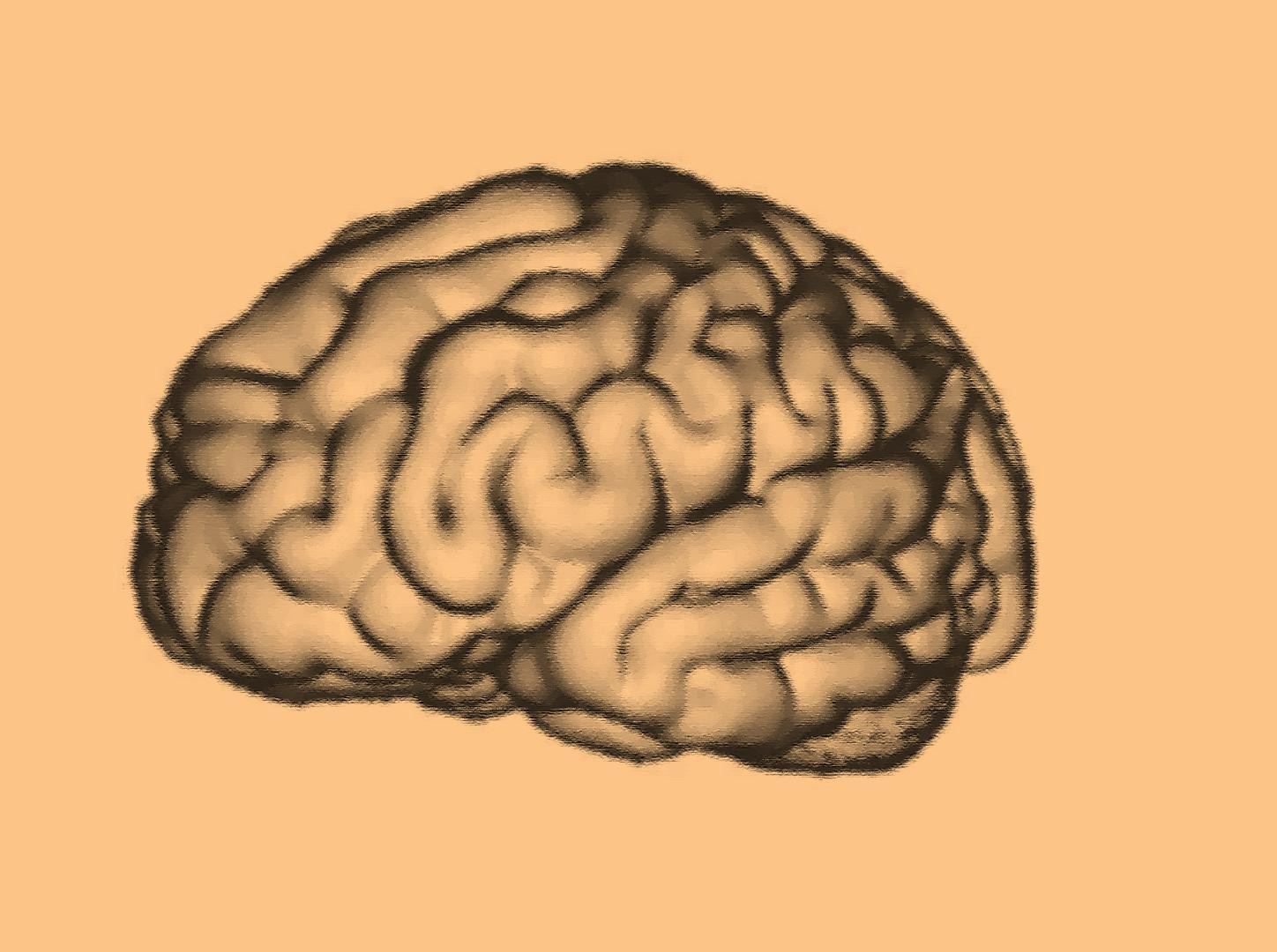 FREE Personality Test (itch)