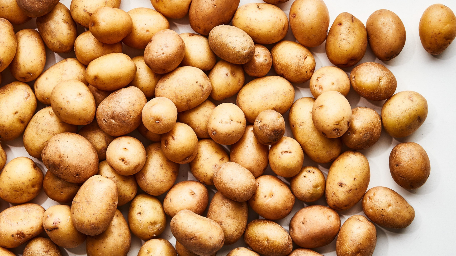 You are a potato (itch) You are a potato (itch)
