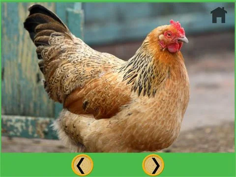 beautiful farm animals for all kids - free beautiful farm animals for all kids - free