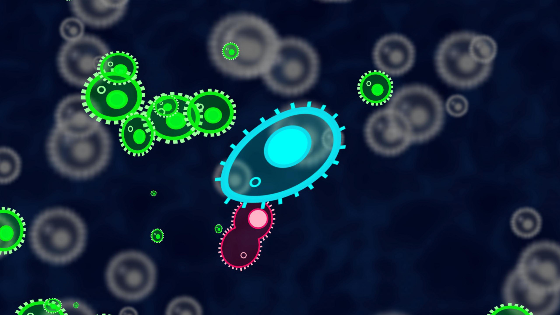 Unicellular (itch) Unicellular (itch)