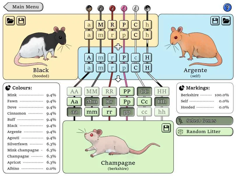 NZ Rat Colour Genetics (itch)