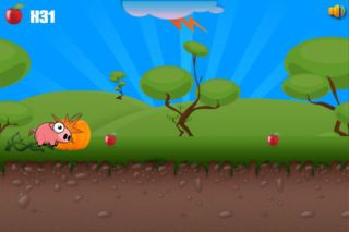 Pig Run Run