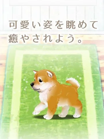 My Dog Life -Japanese Shiba Inu Edition My Dog Life -Japanese Shiba Inu Edition