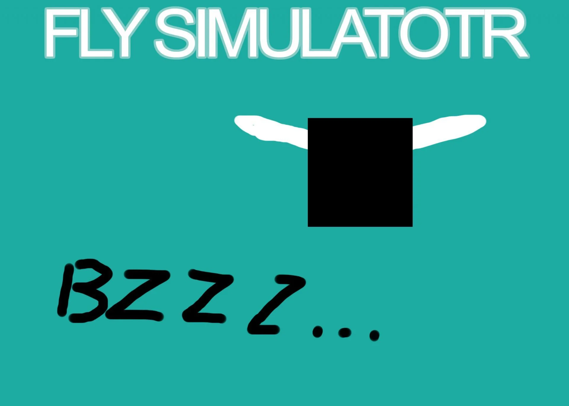 FLY SIMULATOR (itch)