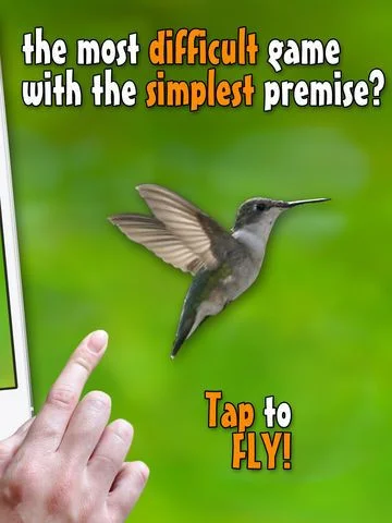 Real bird: Tap to fly! Real bird: Tap to fly!