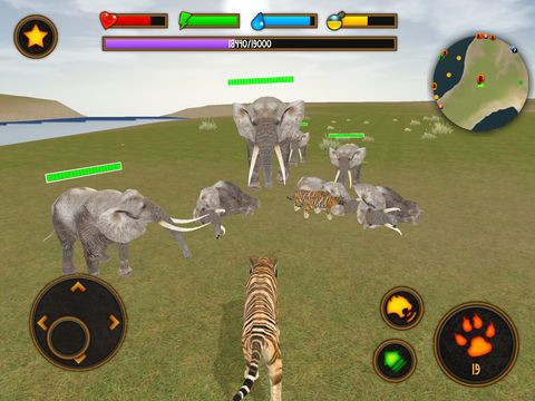 Clan of Tigers Clan of Tigers