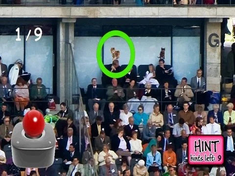 Kitty in the Crowd Kitty in the Crowd