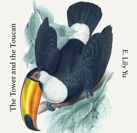 The Tower and the Toucan (itch)