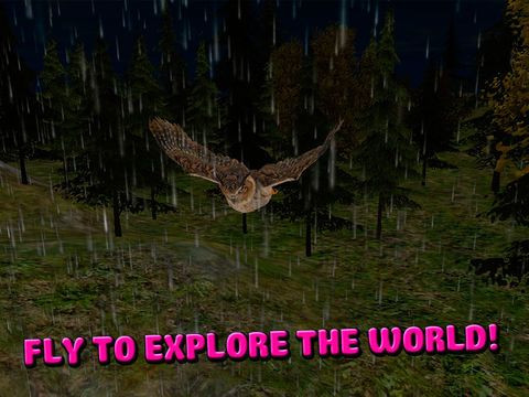 Owl Bird Survival Simulator 3D Free