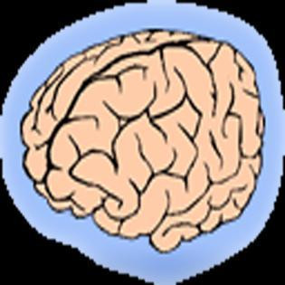 BrainBumpers Deluxe (itch) BrainBumpers Deluxe (itch)