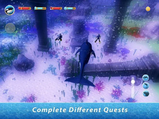 Рецензии Orca Family Simulator