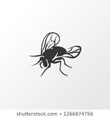 Статьи по Fly Game (itch)
