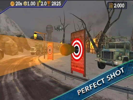 Target Sniper Shooting 3d Target Sniper Shooting 3d