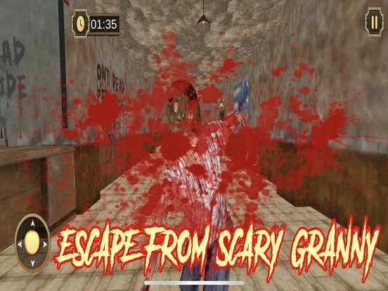 Scary Neighbor Granny House 3D