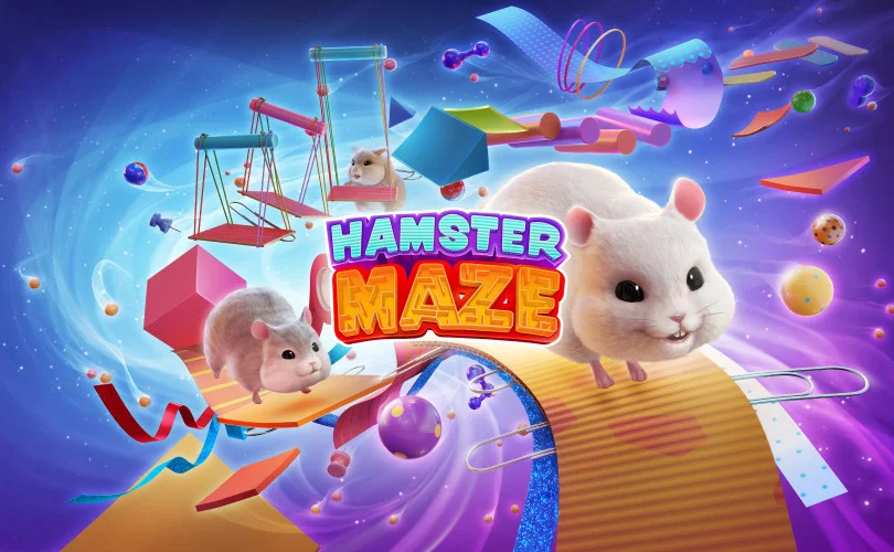 Hamster Playground Hamster Playground