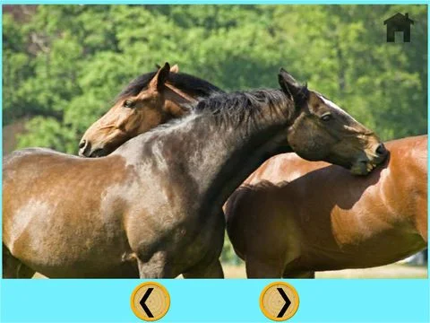 Статьи по horses delightful for kids - free