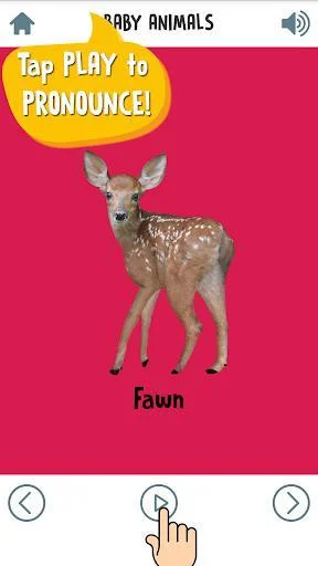 First Words for Baby: Animals First Words for Baby: Animals