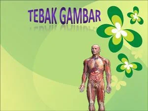 Tebak Gambar Biologi (itch)