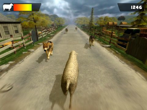 Sheep Racing Adventure in The Tiny Virtual Pet Town Sheep Racing Adventure in The Tiny Virtual Pet Town