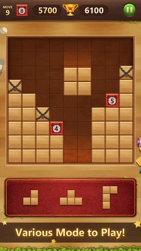 Wood Block Puzzle Classic