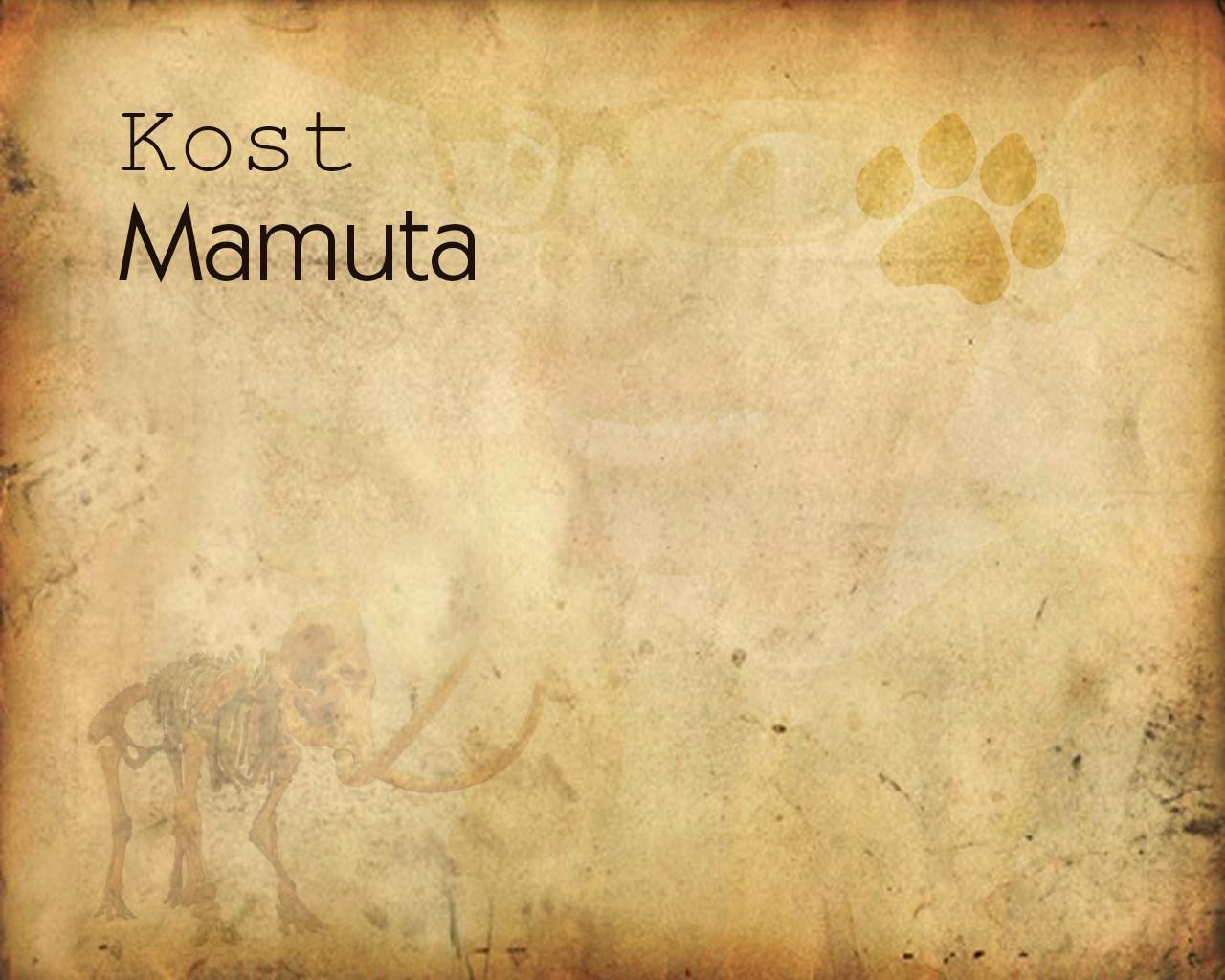 Kost mamuta (itch) Kost mamuta (itch)