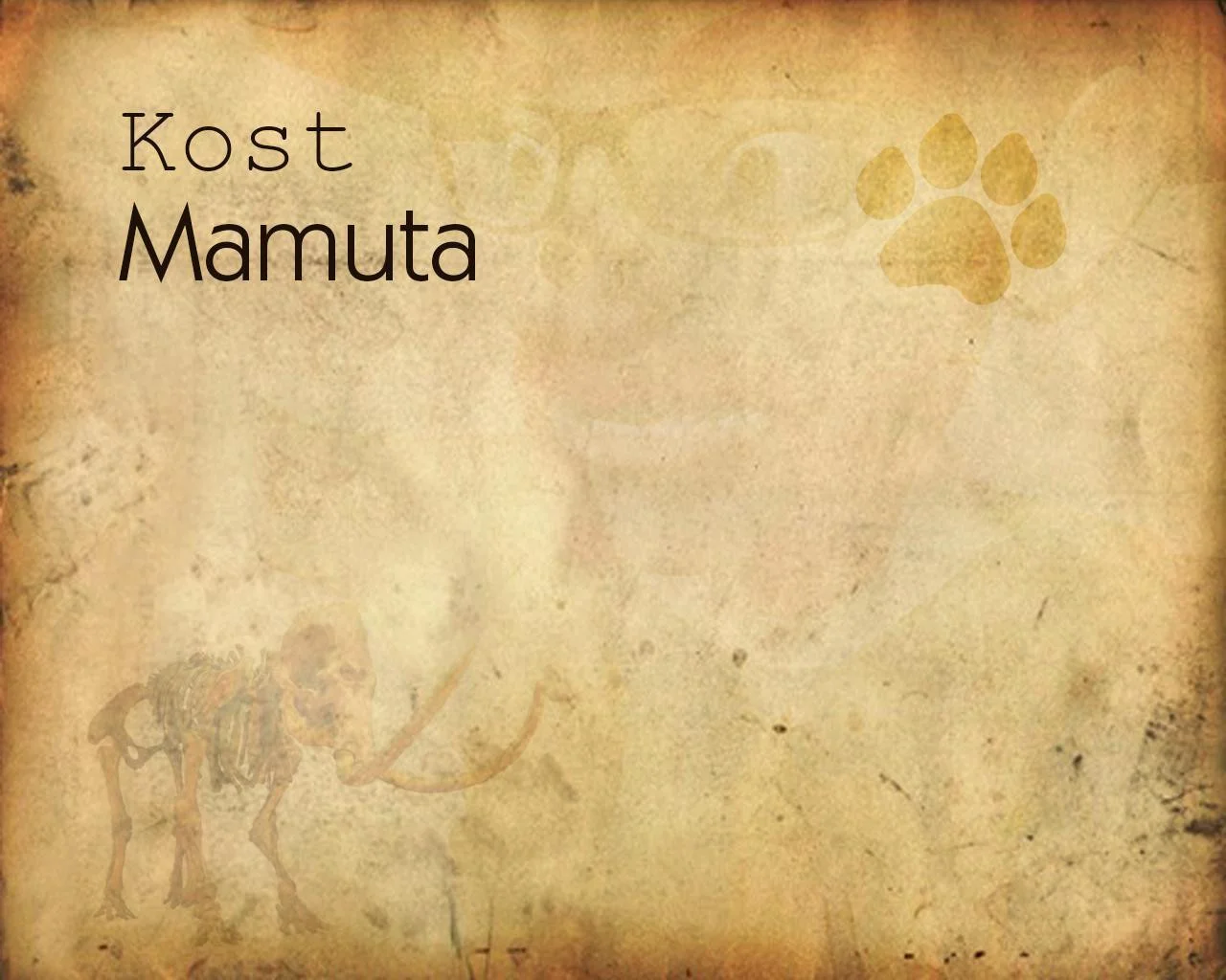 Kost mamuta (itch) Kost mamuta (itch)