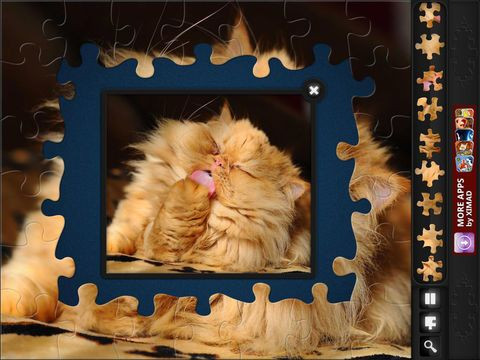 Jigsaw Puzzles: Funny Cats Jigsaw Puzzles: Funny Cats