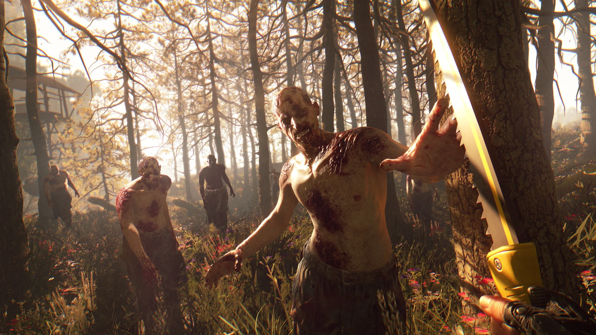Dying Light: The Following - Enhanced Edition Dying Light: The Following - Enhanced Edition