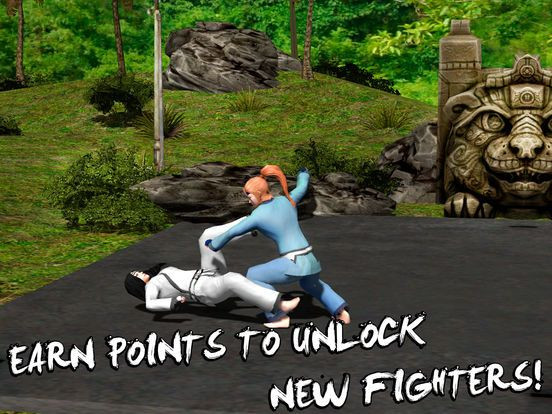 Karate Do Fighting Tiger 3D Karate Do Fighting Tiger 3D