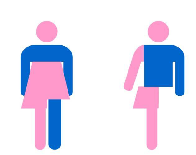 Dress-up Gender (itch)