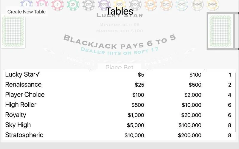 Blackjack Player Blackjack Player