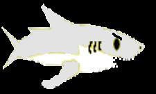 Shark Dash Unlimited (itch)