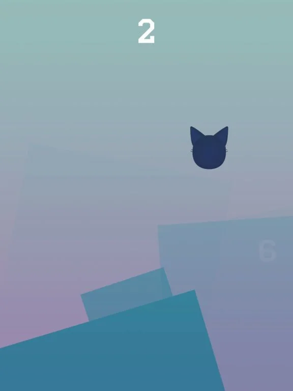 Hazy Cat Racer Hazy Cat Racer