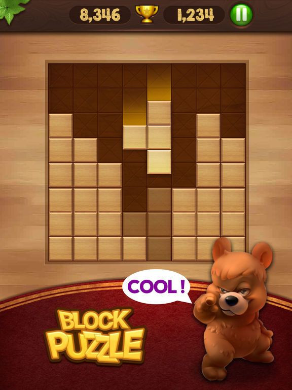 Block Puzzle Wood Block Puzzle Wood